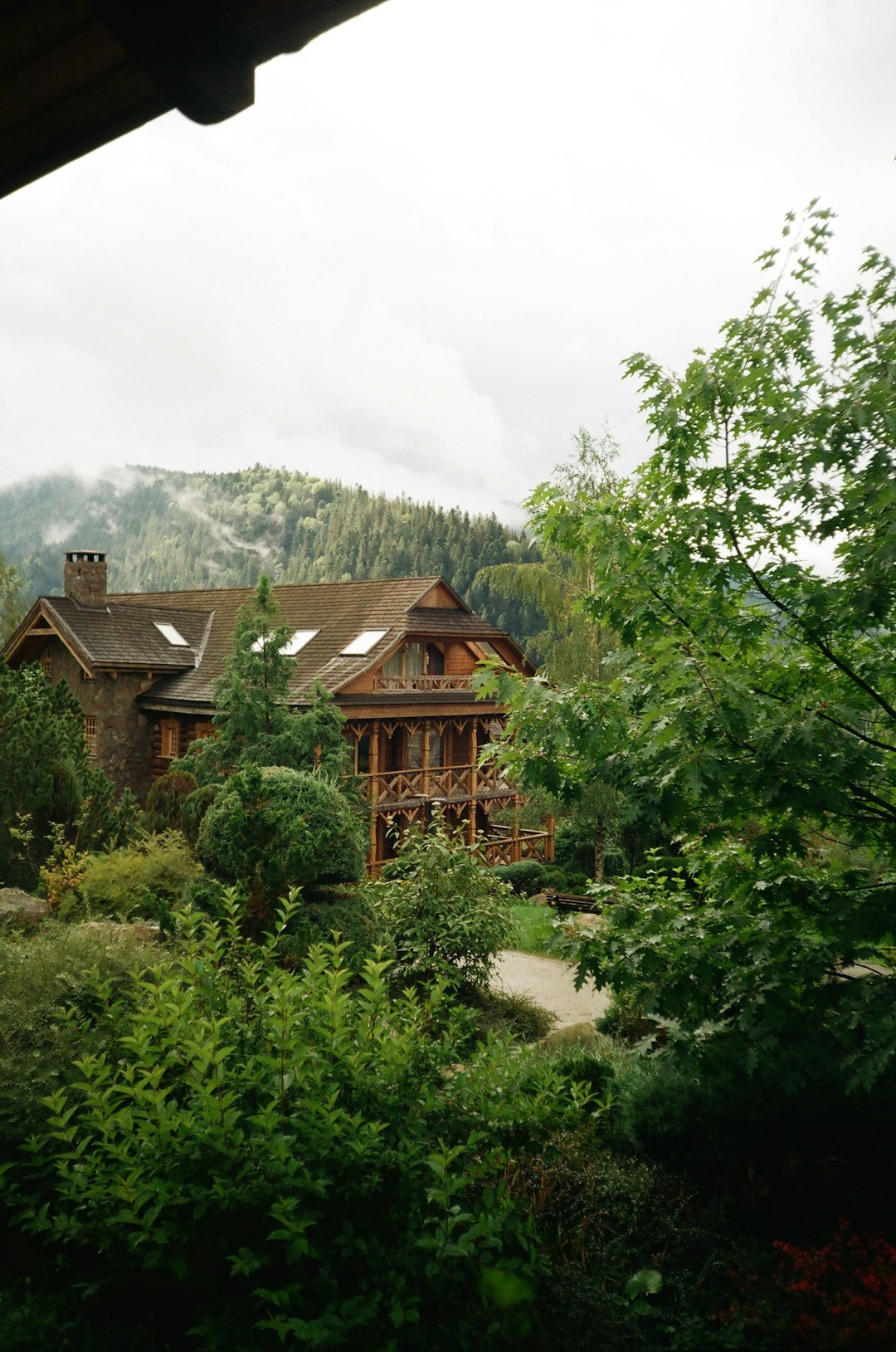 Family Cabin