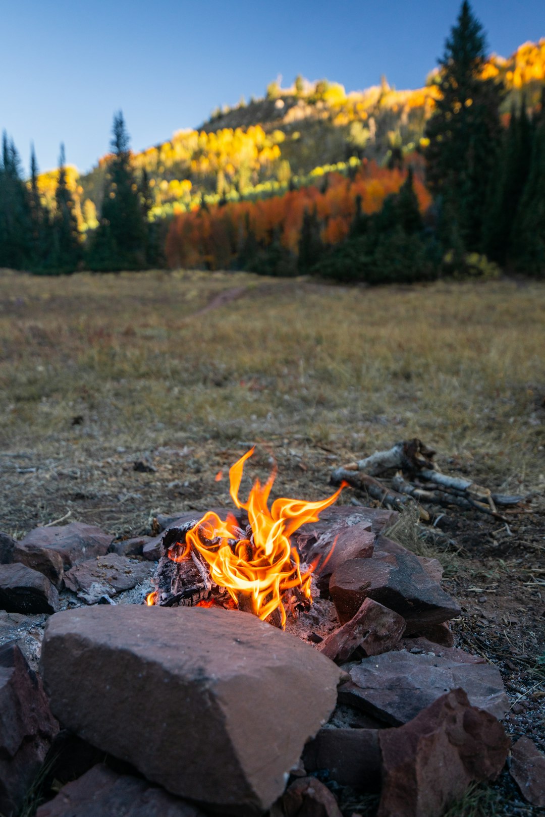 Outdoor Fire Pits